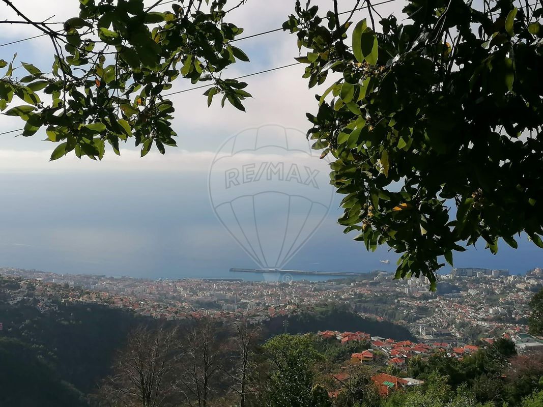 41760m² Land in Funchal, Portugal No. 92665