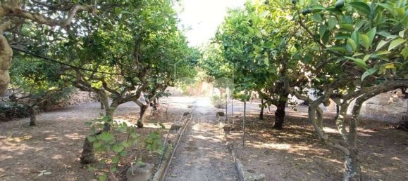 4 bedrooms House in Marsala, Italy No. 84294 12