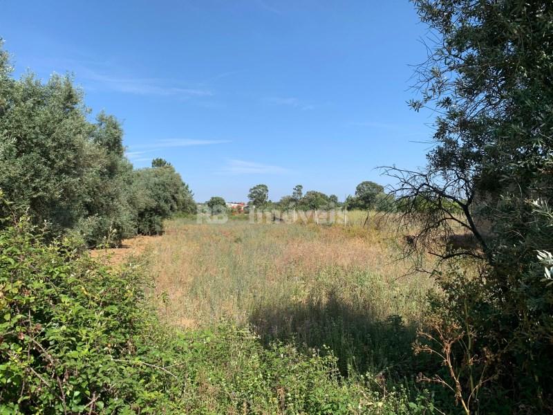 917m² Land in Torres Novas, Portugal No. 251002