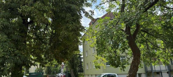 2-Zimmer Wohnung in Dresden, Germany, Nr. 264647 3