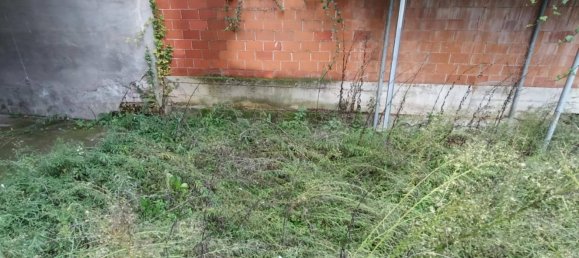 5 rooms House in San Salvatore Monferrato, Italy No. 45531 5