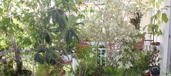 3 Schlafzimmer Wohnung in Perama, Greece, Nr. 7248 10