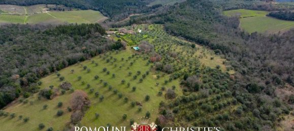 Вилла с 19 спальнями в Кастеллина ин Кьянти, Италия № 126771 9