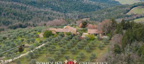 Вилла с 19 спальнями в Кастеллина ин Кьянти, Италия № 126771 13