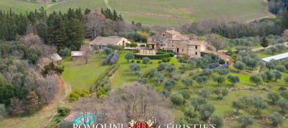 Вилла с 19 спальнями в Кастеллина ин Кьянти, Италия № 126771 10