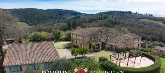 Вилла с 19 спальнями в Кастеллина ин Кьянти, Италия № 126771 5