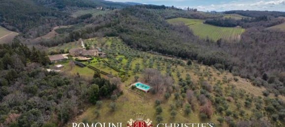 Вилла с 19 спальнями в Кастеллина ин Кьянти, Италия № 126771 8