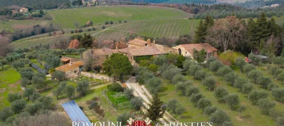 Вилла с 19 спальнями в Кастеллина ин Кьянти, Италия № 126771 18