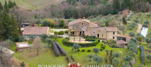 Вилла с 19 спальнями в Кастеллина ин Кьянти, Италия № 126771 12