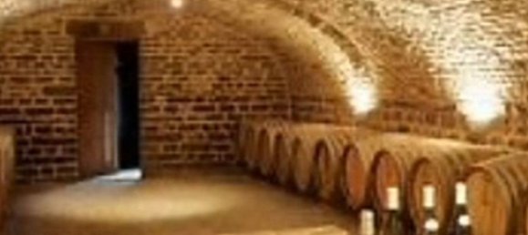 5 bedrooms House in Briona, Italy No. 316800 19