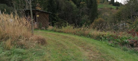  Land in Bruck-Murzzuschlag, Austria No. 6688 12