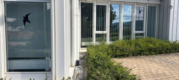  مستودع في Tuttlingen, Germany 185متر مربع رقم 337913 4