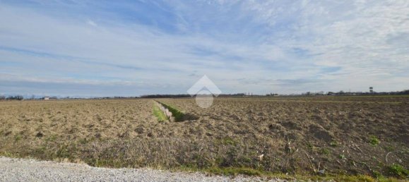 Terrain à Cessalto, Italy 50555m² No. 128915 5