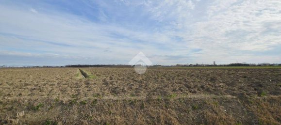 Terrain à Cessalto, Italy 50555m² No. 128915 8