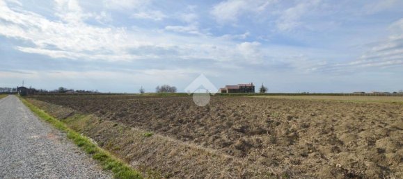 Terrain à Cessalto, Italy 50555m² No. 128915 14