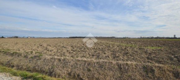 Terrain à Cessalto, Italy 50555m² No. 128915 7