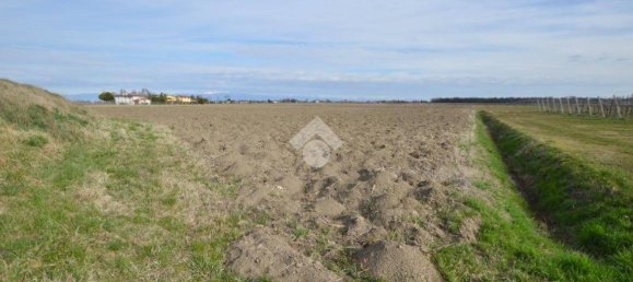 Terrain à Cessalto, Italy 50555m² No. 128915 4