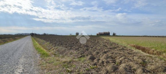 Terrain à Cessalto, Italy 50555m² No. 128915 6