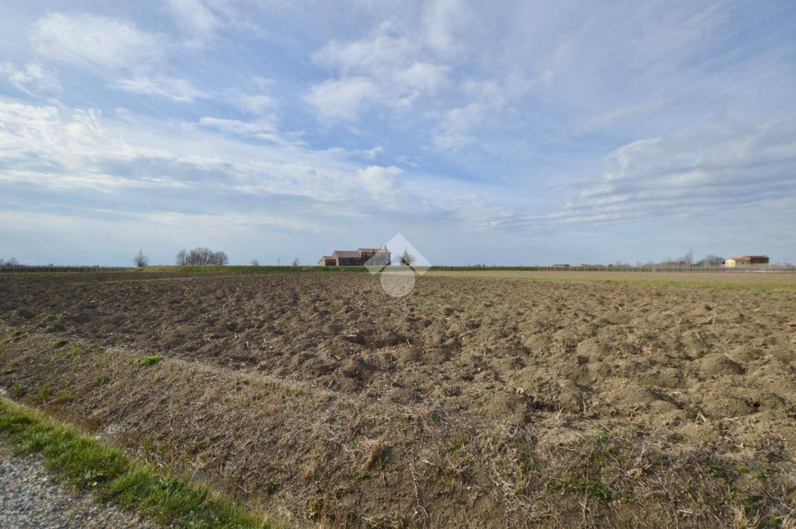 Terrain à Cessalto, Italy 50555m² No. 128915