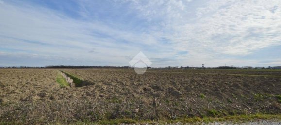 Terrain à Cessalto, Italy 50555m² No. 128915 3