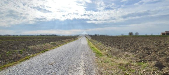 Terrain à Cessalto, Italy 50555m² No. 128915 2