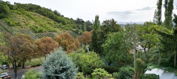  Land in Dobling, Austria No. 129837 2