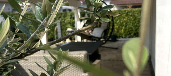 4 bedrooms House in Main-Kinzig, Germany No. 276531 34