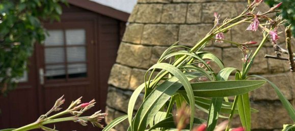 4 bedrooms House in Main-Kinzig, Germany No. 276531 2