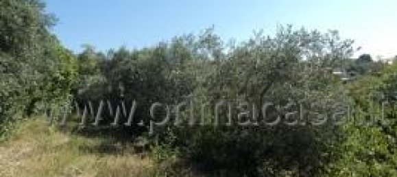 1-Zimmer Grundstück in Lavagno, Italy, Nr. 22276 5