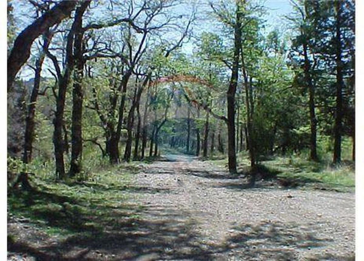 Terrain à Neuquen, Argentina No. 44950