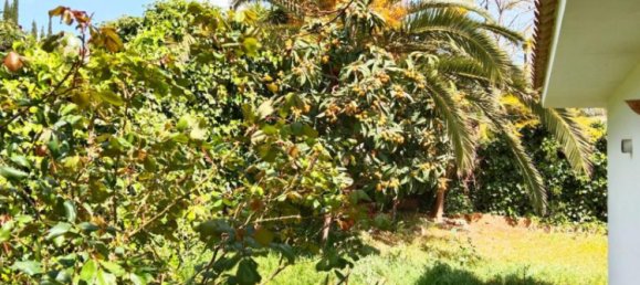 5 Schlafzimmer Villa in Costa D'en Blanes, Spain, Nr. 14149 8