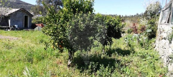 3 غرف نوم منزل في Baltar, Portugal رقم 23553 5