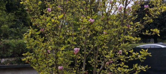 8 rooms House in Perugia, Italy No. 5571 49