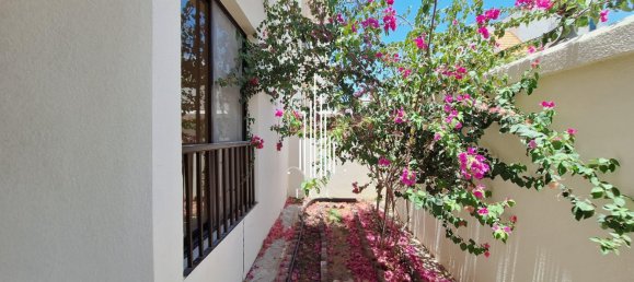 4 chambres Villa à Al Dhafrah, UAE No. 23037 24