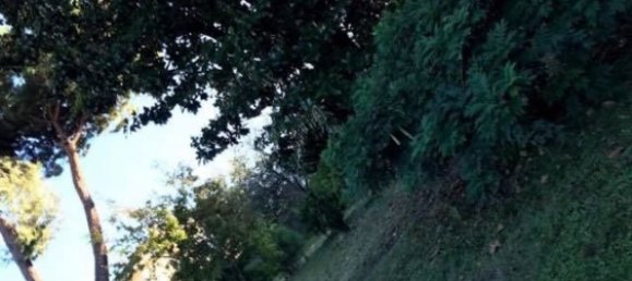 13 rooms Villa in Carrara, Italy No. 48149 2