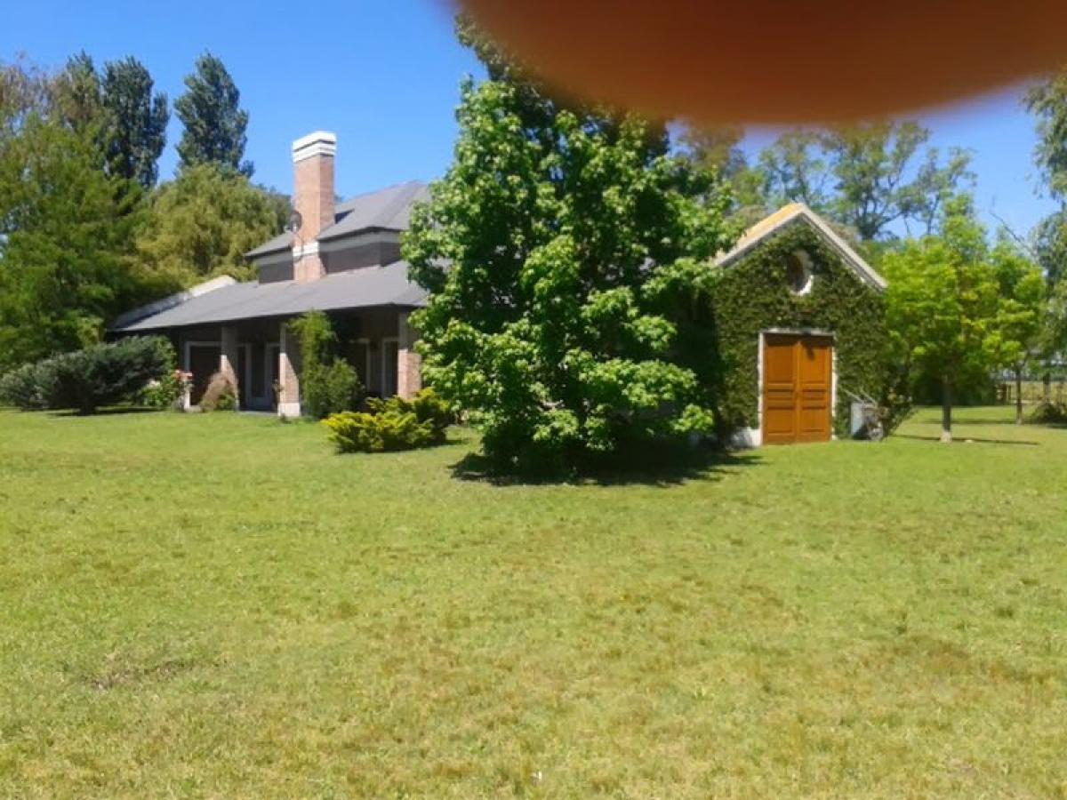 3 غرف نوم مزرعة في Carmen de Areco, Argentina رقم 34869