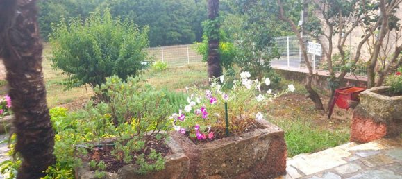 6 bedrooms House in Saint-Chinian, France No. 297614 10