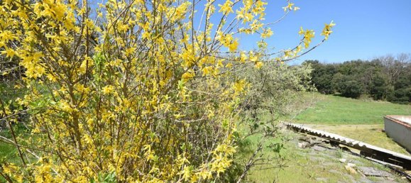 6 bedrooms House in Saint-Chinian, France No. 297614 12