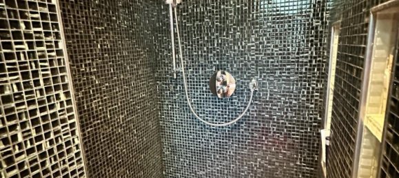 Penthouse T3 em Mulhouse, France N.º 80732 11