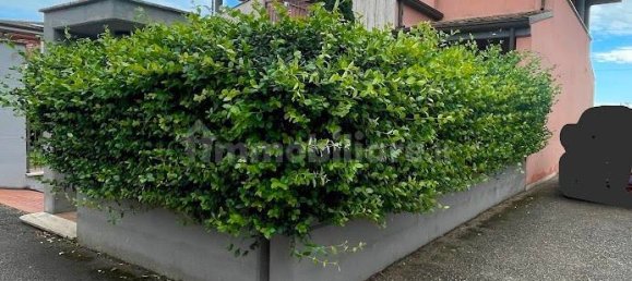 4 Schlafzimmer Wohnung in Latina, Italy, Nr. 229042 4