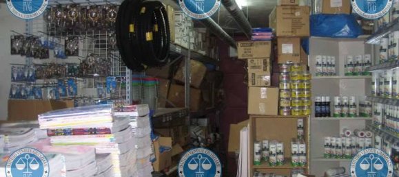 5-Zimmer Gewerbliche Immobilie in Palestrina, Italy, Nr. 272786 10