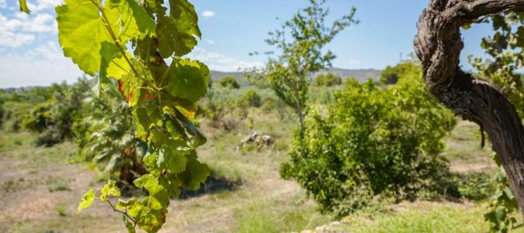 Casa de 2 dormitorios en Alicante, Spain No. 261781 28