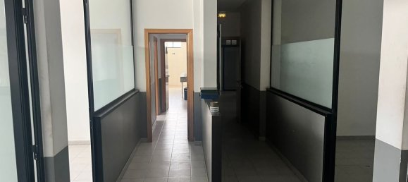 Коммерческая недвижимость 9177м² в Сан-Фернандо-де-Энарес, Испания № 178689 4