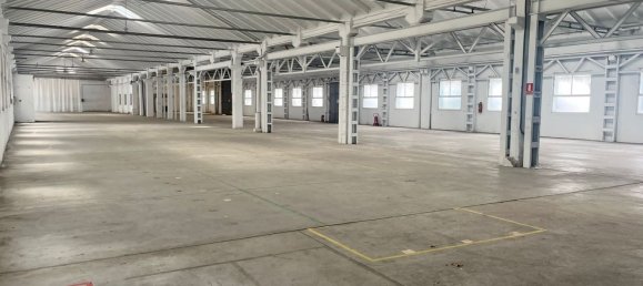 Коммерческая недвижимость 9177м² в Сан-Фернандо-де-Энарес, Испания № 178689 3