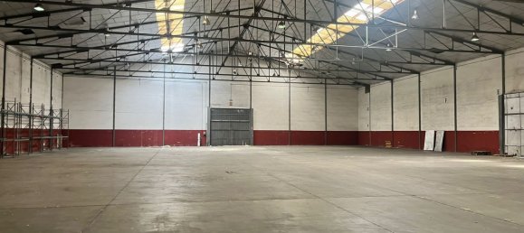 Коммерческая недвижимость 9177м² в Сан-Фернандо-де-Энарес, Испания № 178689 2