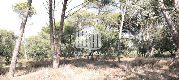 5000m² Land in Sesimbra, Portugal No. 139183 3