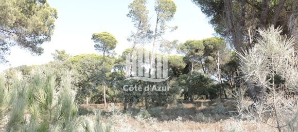 5000m² Land in Sesimbra, Portugal No. 139183 2