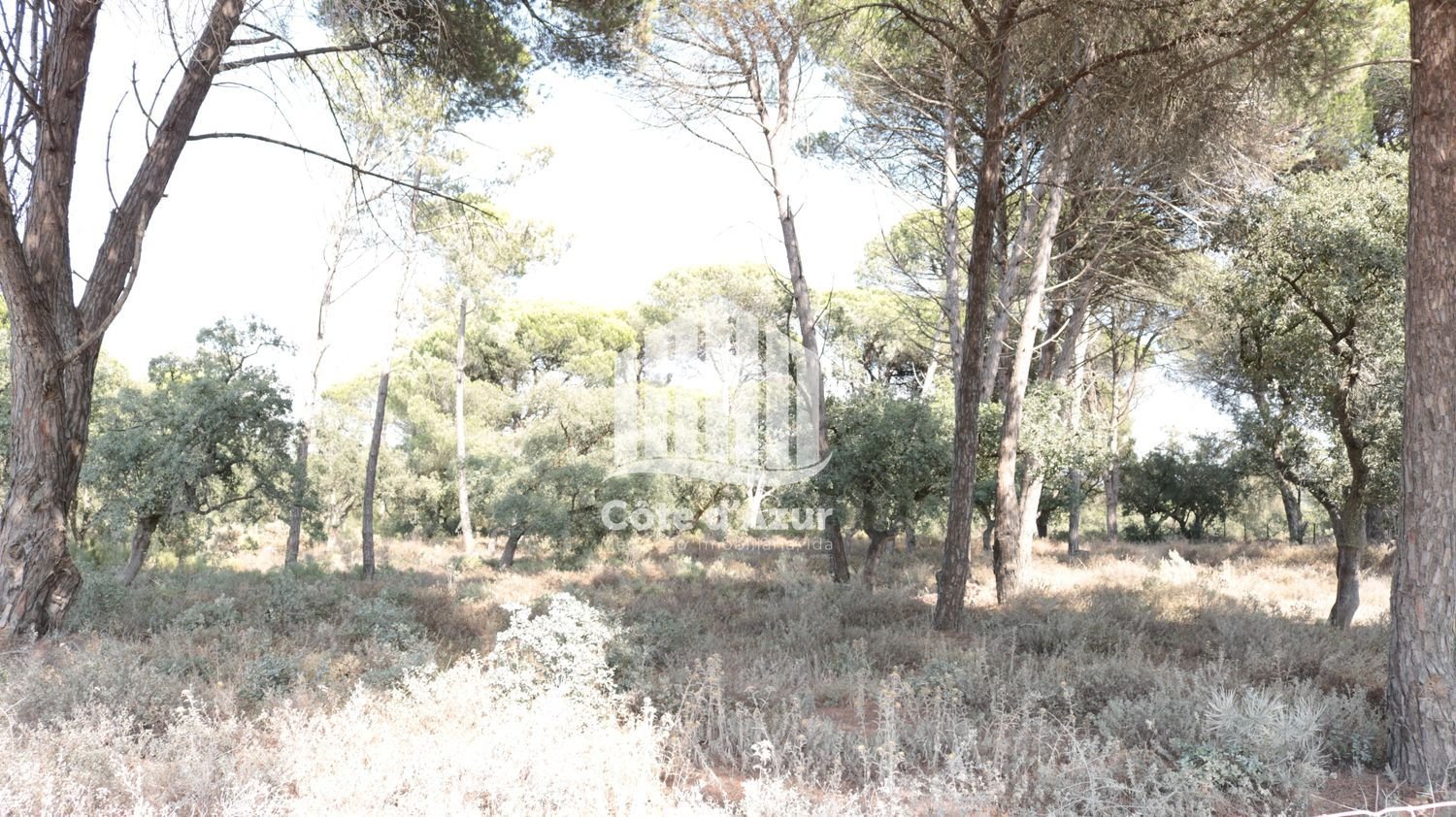 5000m² Land in Sesimbra, Portugal No. 139183