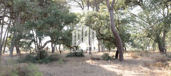 5000m² Land in Sesimbra, Portugal No. 139183 5