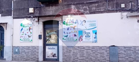 Imóvel comercial de 2 divisões em Catania, Italy N.º 234700 7